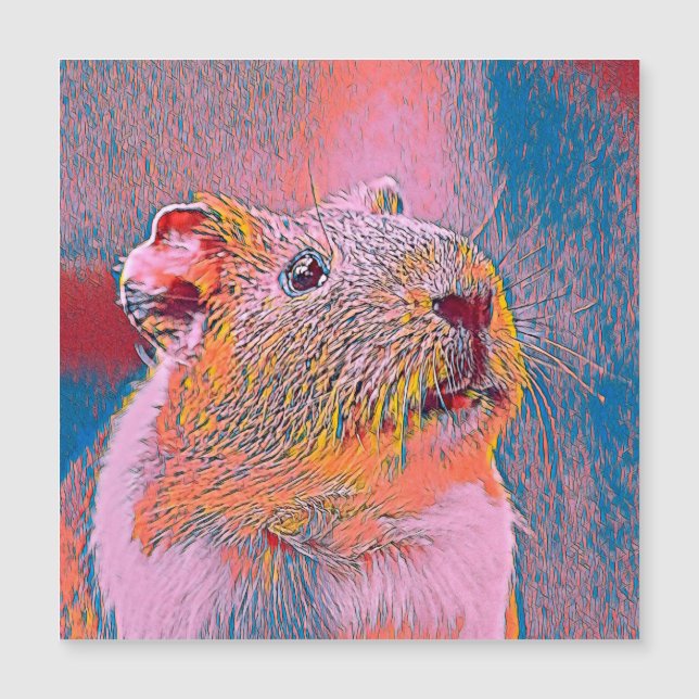 AnimalMix_Guineapig_001 (Voorkant)