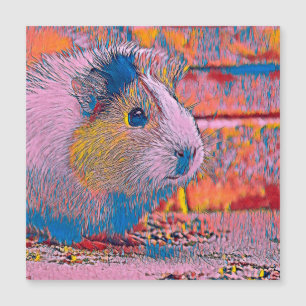AnimalMix_Guineapig_002