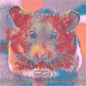 AnimalMix_Hamster_002 Sticker (Voorkant)