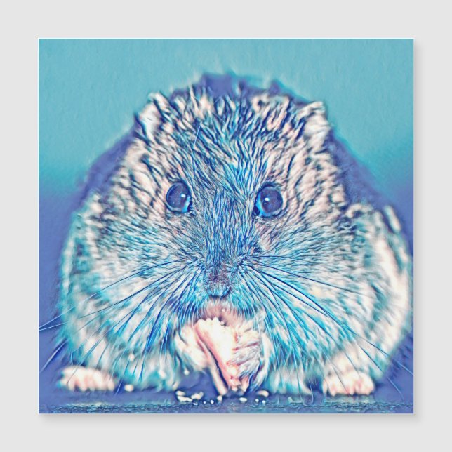 AnimalMix_Hamster_003 (Voorkant)