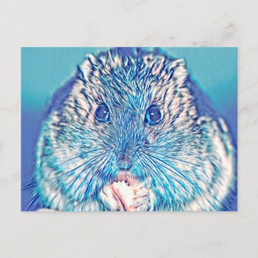 AnimalMix_Hamster_003 Briefkaart (Voorkant)