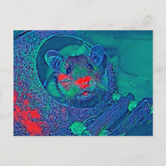 AnimalMix_Hamster_005 Briefkaart (Voorkant)