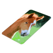 AnimalMix_Horse_013 Magneet (Linkerzijde)