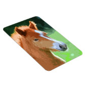 AnimalMix_Horse_013 Magneet (Rechterzijde)