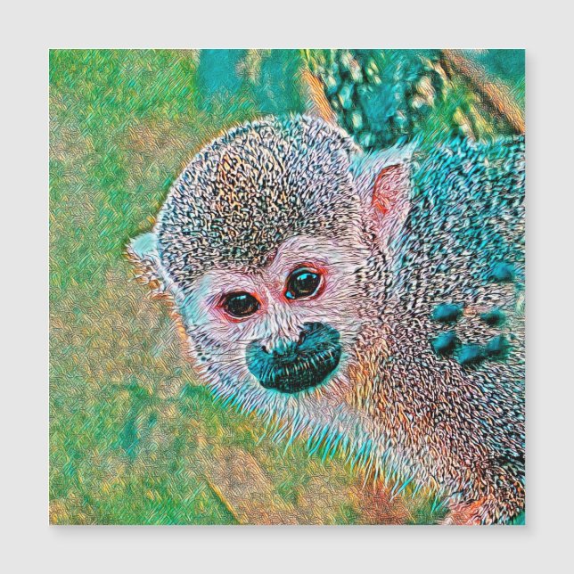 AnimalMix_Monkey_010 (Voorkant)