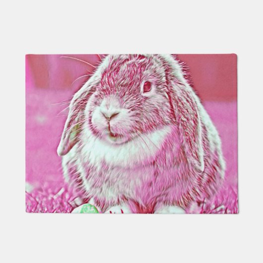 AnimalMix_Rabbit_002 Deurmat (Voorkant)