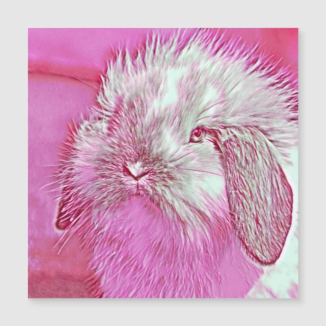 AnimalMix_Rabbit_008 (Voorkant)