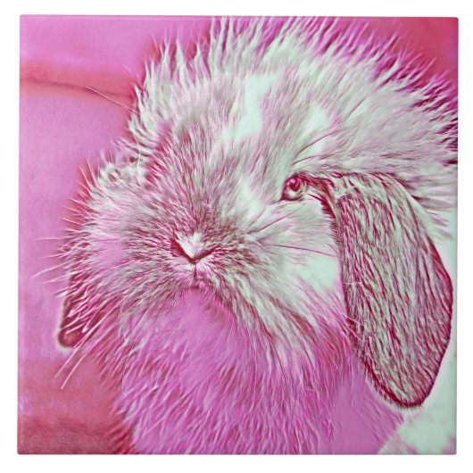 AnimalMix_Rabbit_008 Tegeltje (Voorkant)