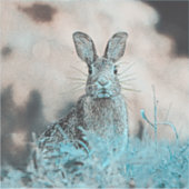 AnimalMix_Rabbit_024 Sticker (Voorkant)