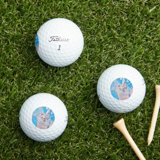 AnimalMix_Sloth_001 Golfballen (Insitu Gras)