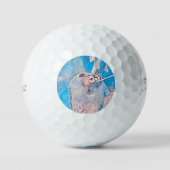 AnimalMix_Sloth_001 Golfballen (Voorkant)