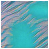 AnimalMix_Squirrel_001_by_JAMColors Stof (Close Up)