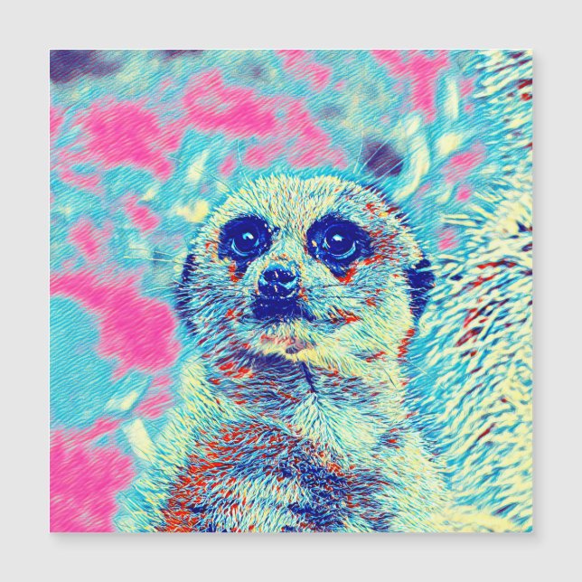 AnimalMix_Stokstaartje_008 (Voorkant)