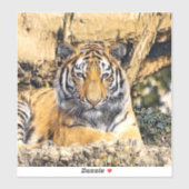 AnimalMix_Tiger_009 Sticker (Vel)