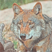 AnimalMix_Wolf_003 Sticker (Voorkant)