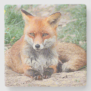 AnimalPaint_Fox_20171201_by_JAMColors Stenen Onderzetter
