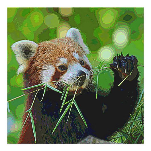 AnimalPaint_RedPanda_20171201_by_JAMColors Foto Afdruk (Voorkant)