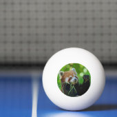 AnimalPaint_RedPanda_20171201_by_JAMColors Pingpongbal (Net)