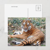 AnimalPostcard Briefkaart (Voorkant / Achterkant)