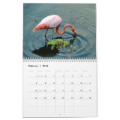 animals and birds of Galapagos Kalender (Feb 2026)