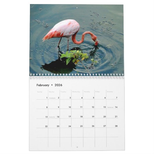 animals and birds of Galapagos Kalender (Feb 2026)