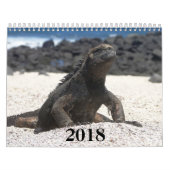 animals and birds of Galapagos Kalender (Hoes)
