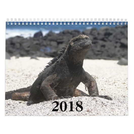 animals and birds of Galapagos Kalender (Hoes)
