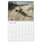 animals and birds of Galapagos Kalender (Mar 2027)