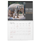 Animals Art Calendar (Type-A) Kalender (Feb 2027)