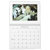 Animals Calander Kalender (Mar 2027)