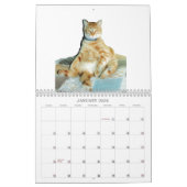 Animals Calander Kalender (Jan 2026)