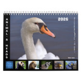 Animal's heads 12 month calendar kalender (Hoes)