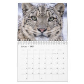 Animals image calendar  kalender (Jan 2027)