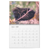 Animals Kalender (Mar 2027)