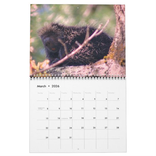Animals Kalender (Mar 2026)