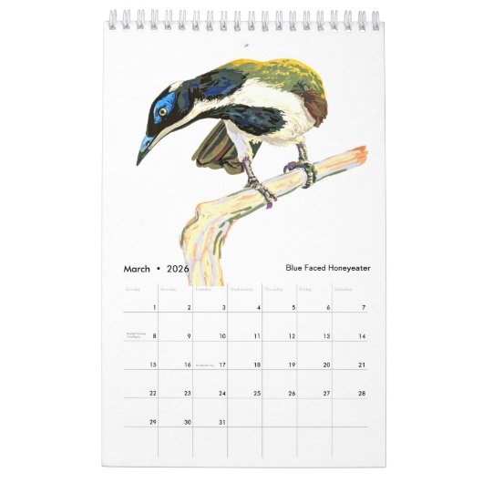 Animals! Kalender 2025 (Mar 2026)