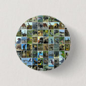 Animals of the world ronde button 3,2 cm (Voorkant)
