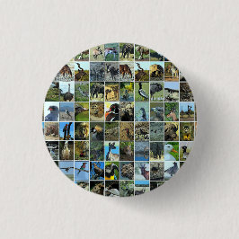 Animals of the world ronde button 3,2 cm