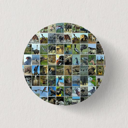 Animals of the world ronde button 3,2 cm (Voorkant)