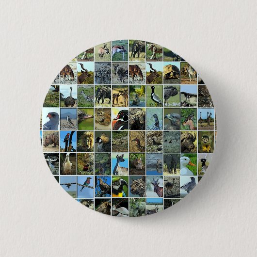 Animals of the world ronde button 5,7 cm (Voorkant)