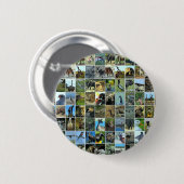 Animals of the world ronde button 5,7 cm (Voorkant /achterkant)