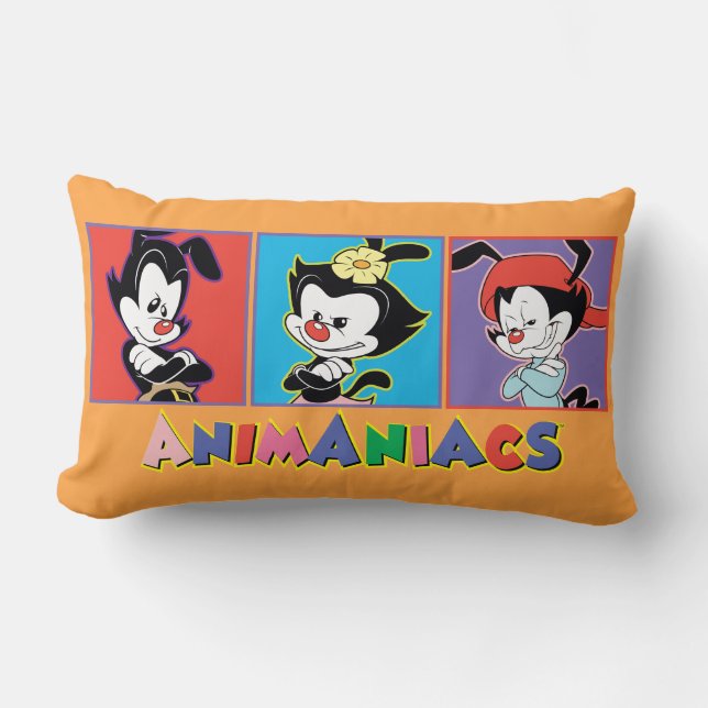Animaniacs | Afbeelding van Yakko, Dot en Wakko-fl Kussen (Voorkant)