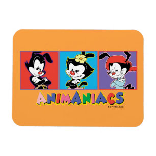 Animaniacs Afbeelding van Yakko, Dot en Wakko-fl Magneet