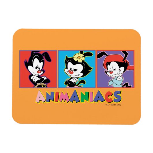 Animaniacs | Afbeelding van Yakko, Dot en Wakko-fl Magneet (Horizontaal)