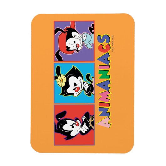 Animaniacs | Afbeelding van Yakko, Dot en Wakko-fl Magneet (Verticaal)