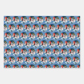 Animaniacs | Cirkel Warner Siblings Grafisch Inpakpapier Vel (Voorkant 3)