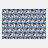 Animaniacs | Cirkel Warner Siblings Grafisch Inpakpapier Vel (Voorkant 2)