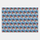 Animaniacs | Cirkel Warner Siblings Grafisch Inpakpapier Vel (Voorkant)