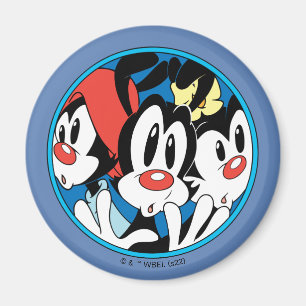 Animaniacs   Cirkel Warner Siblings Grafisch Magneet