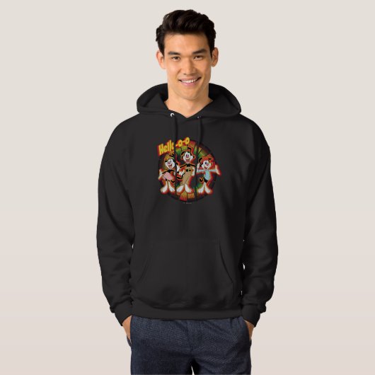 Animaniacs | Hallo-o-o Retro Equalizer Graphic Hoodie (Voorkant volledig)